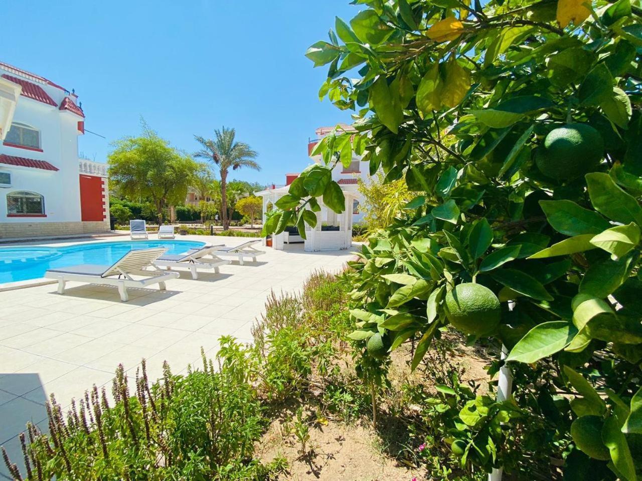 Apartment One In A Compound With The Swimming Pool Hurghada